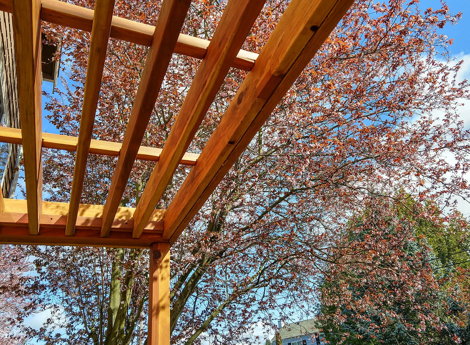 Silverado Modern Pergola