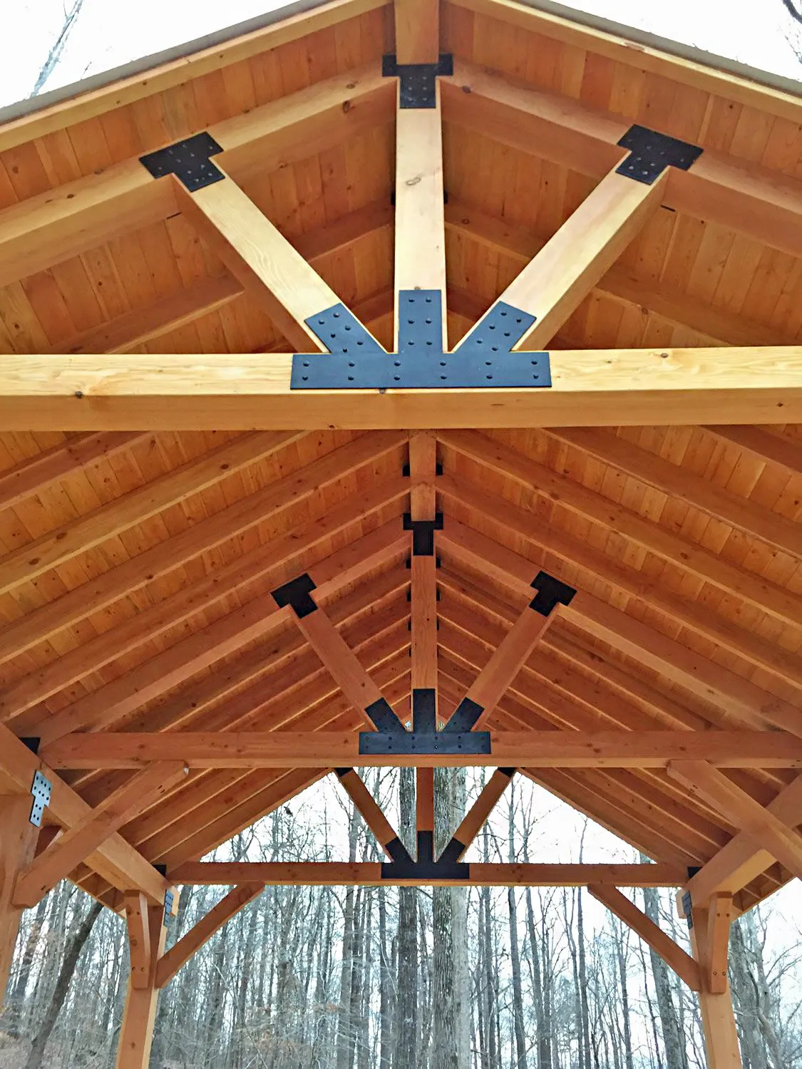 Thick Timber Toledo Wood Pavilion, 26' L x 20' W, Douglas-fir, in Thaxton, MS