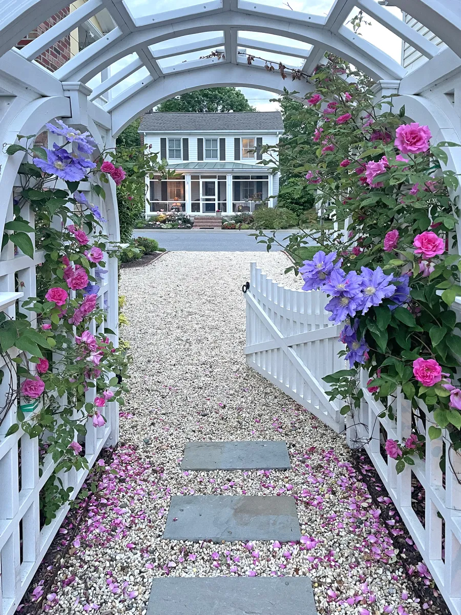 Custom Victorian Trellis (Options: 5' W x 5' D, Douglas-fir, 8' H, 4x4's Posts, Post Anchor Kit for Concrete, Custom Stain) with Custom Fence and Door. Photo Taken 2 Years After Installation. Photo Courtesy of Jessica and Brian Steel of Leesburg, Maryland.