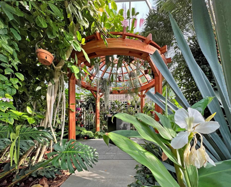 Wooden Dome Pergola (Options: 12' Diameter, Mosaic Douglas-fir, Open roof with slats at 12", Transparent Premium Sealant).