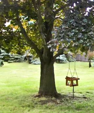 Toddler Swing Seats