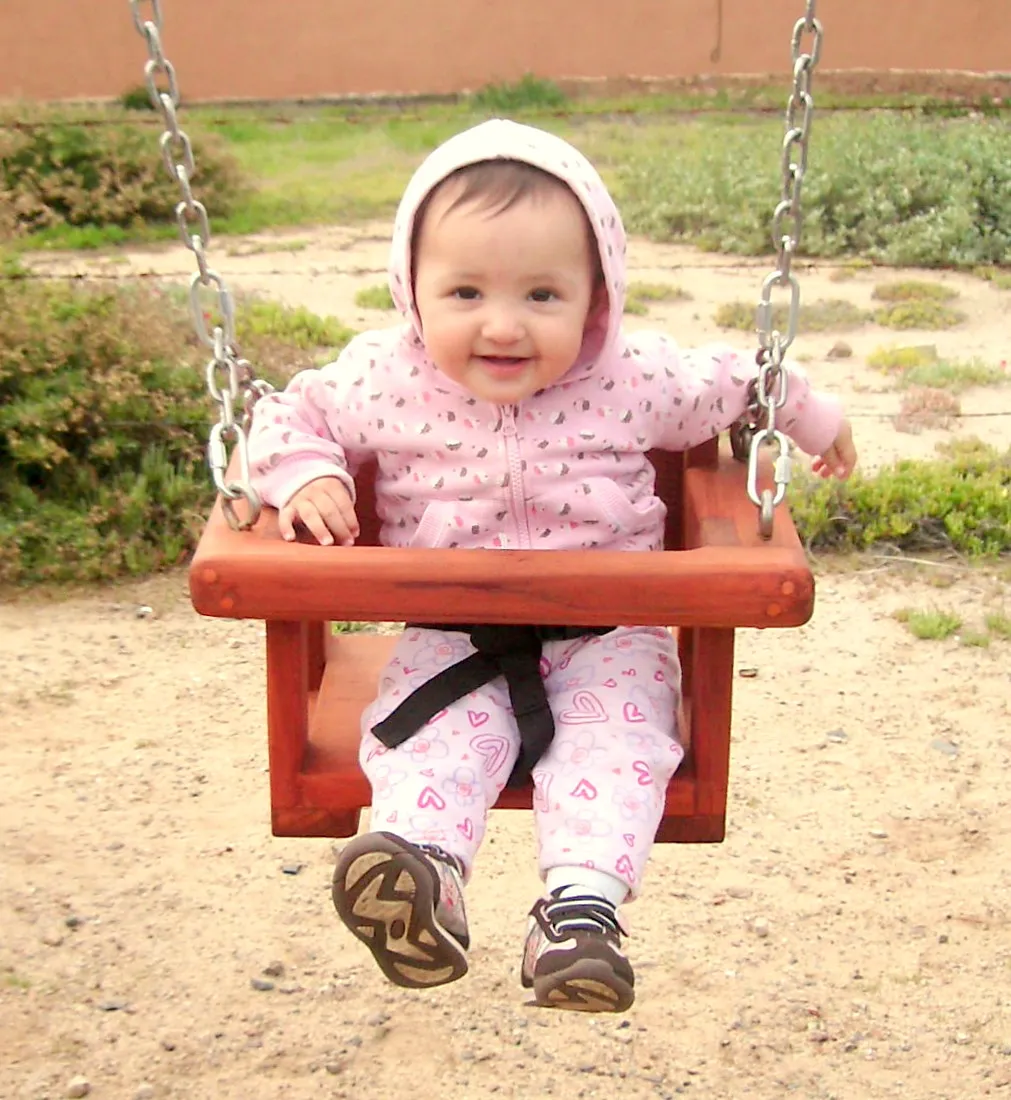 Toddler Swing Seats