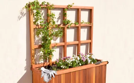 Trellises for Planters