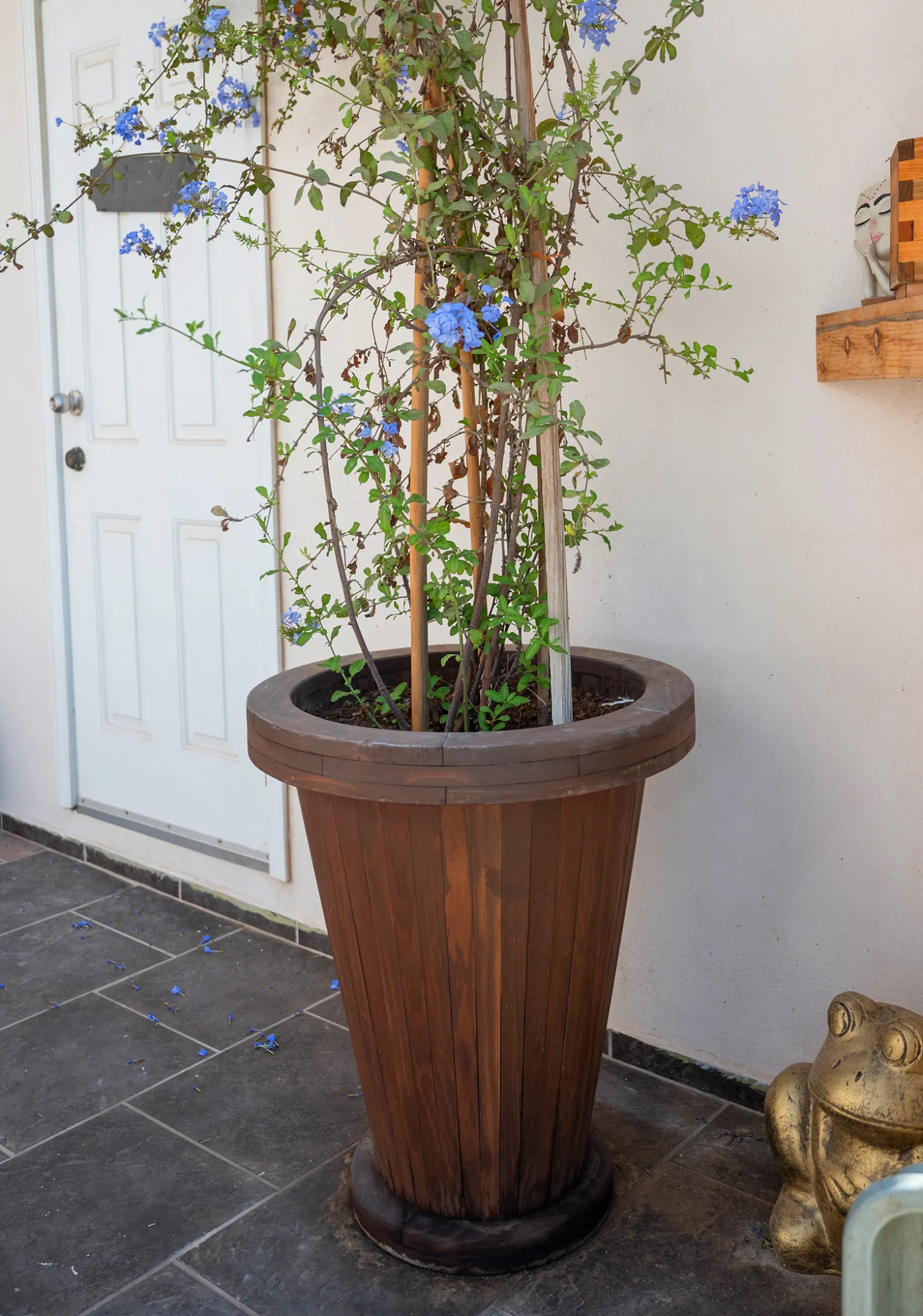 Vase Planters