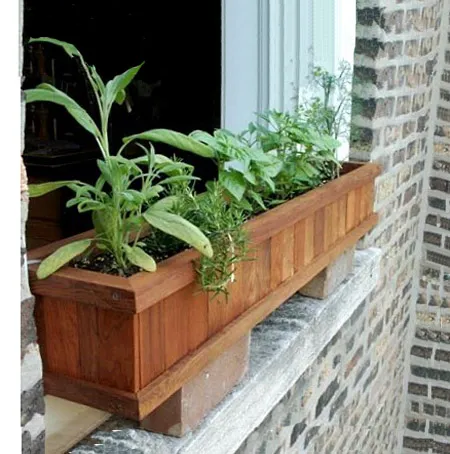 Window Box Planters