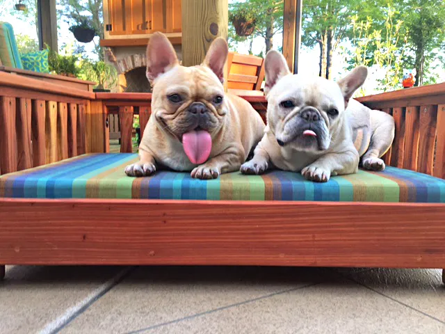 Wooden Pets Bed (Options: California Redwood, Custom Cushion).