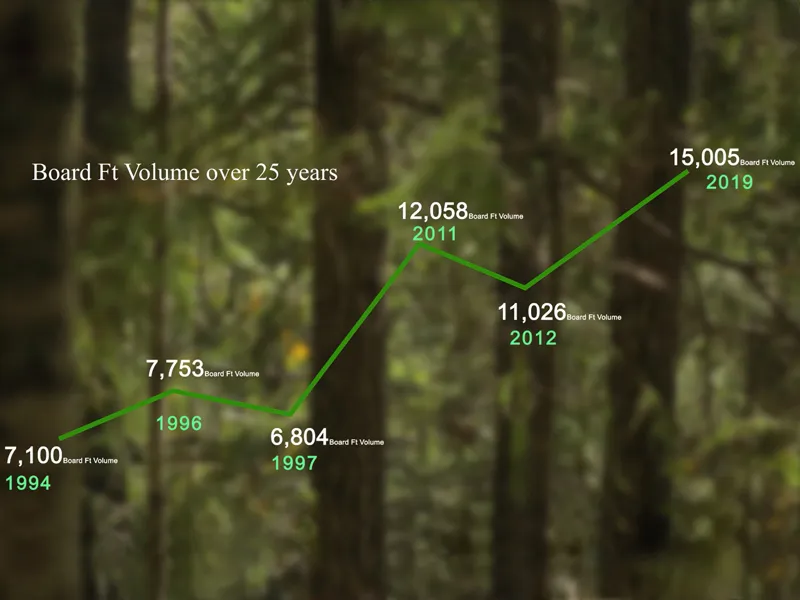 Forest restoration explained in 3 minutes