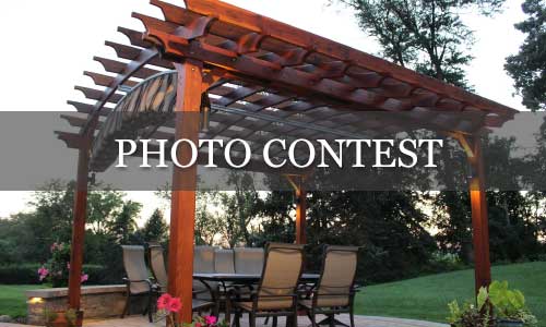 Photo Contests
