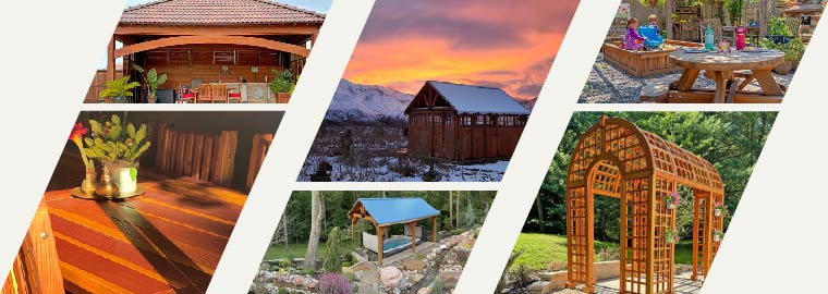 11th Annual Photo Contest