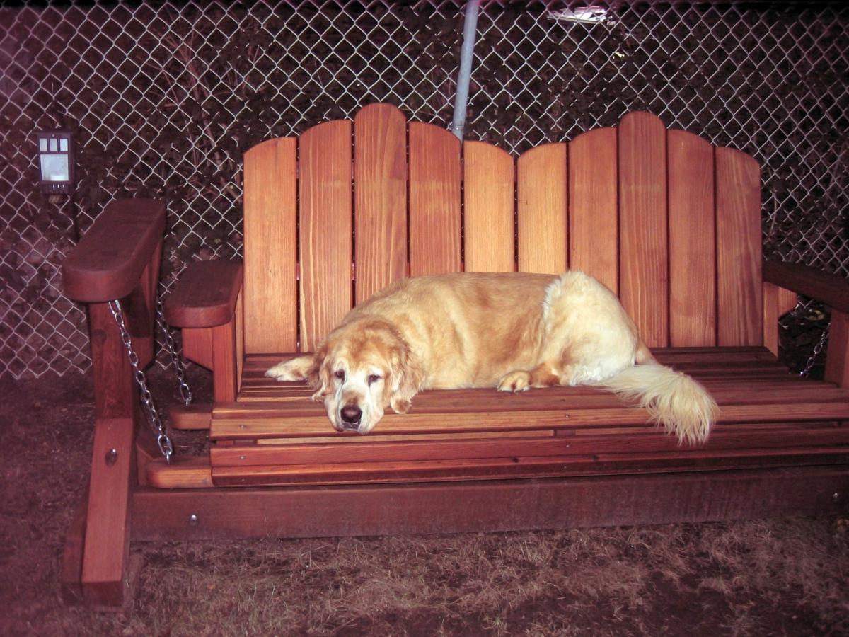 Adirondack Chain Glider (Options: Double XW, Mature Redwood, Transparent Premium Sealant). Photo Courtesy of Ms. Adelle Rosenfeld and Jack (Dog) of Peaneck, NJO.