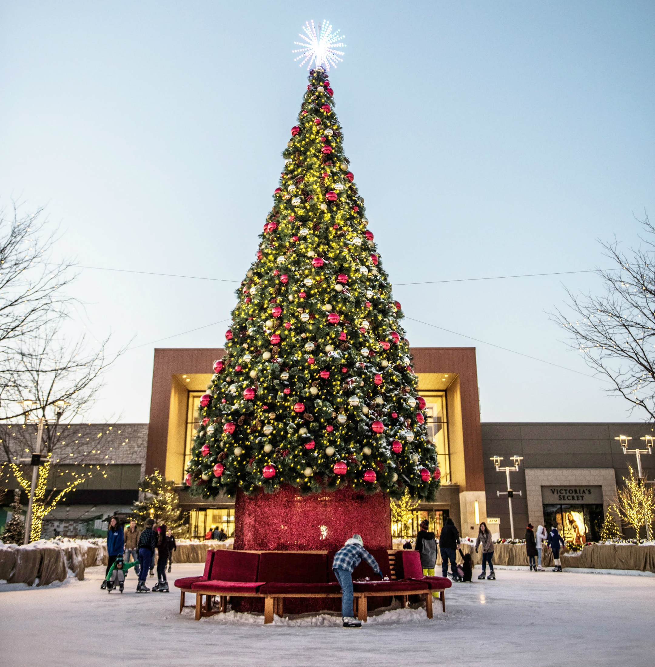 Christmas tree shop bench cheap