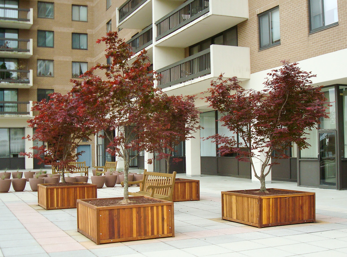 Napa Planters (Options: 48'' L x 48'' W x 24'' H, California Redwood, Add 1 inch feet, No Trellis, Interior and Exterior of Box with Sealant (No Growing Vegetables), Transparent Premium Sealant). Photo courtesy of Eugene K. of Arlington, Virginia.