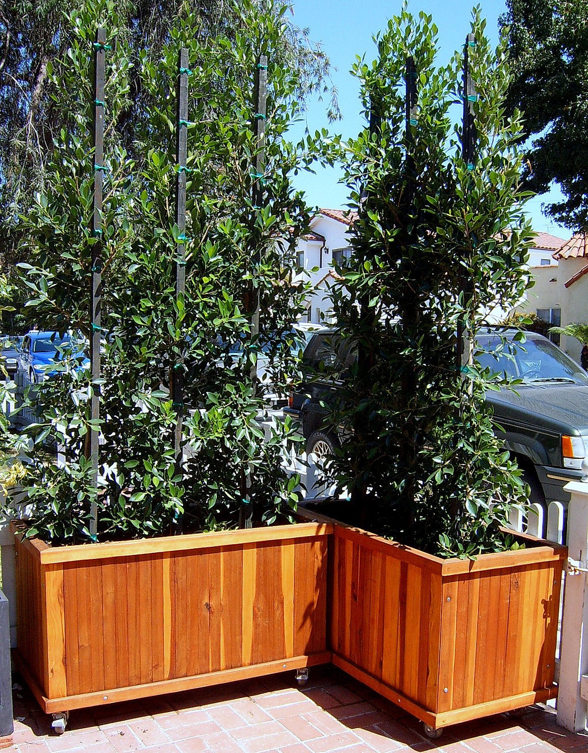 Napa Planters (Options: 48'' L x 18'' W x 18'' H, Mature Redwood, No Base, Casters (CUSTOM OPTION), No Trellis, Interior and Exterior of Box with Sealant (No Growing Vegetables), Transparent Premium Sealant).