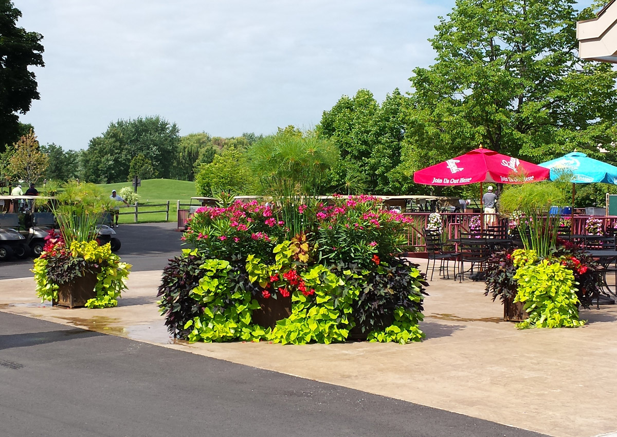 Napa Planters (Options: 96'' L x 24'' W x 24'' H, Mature Redwood, No Base or Casters, No Trellis, Interior and Exterior of Box with Sealant (No Growing Vegetables), Transparent Premium Sealant). Photo Courtesy of Shaumberg Park Shaumberg, IL