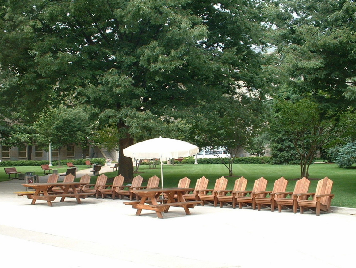 Redwood Adirondack Chair (Options: Standard Size, Mature Redwood, No Cushion, Transparent Premium Sealant). Photo Courtesy of U.S. Pentagon.