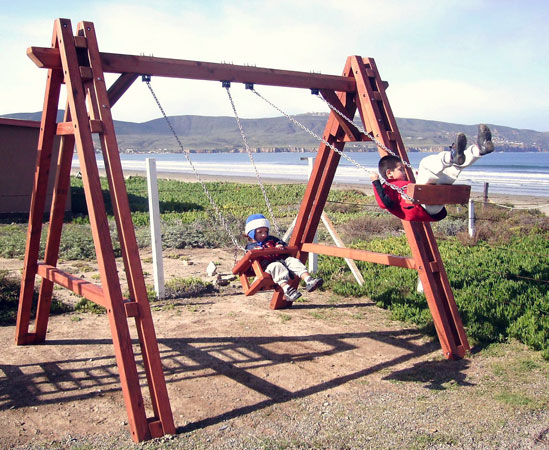 Rory's Swing Seats (Options: Mature Redwood, Rory's Swing Seat - right, Toddler's Swing Seat - left, Transparent Premium Sealant)