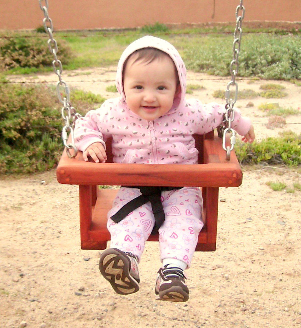Toddler Small Kid s Swing Seat Only Forever Redwood