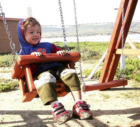 Toddler Small Kid s Swing Seat Only Forever Redwood