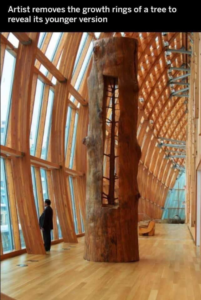 Young Tree Carved Inside Old Tree