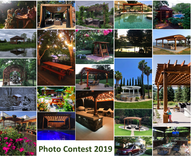 The People have spoken—announcing the winners of our 2019 Photo Contest!