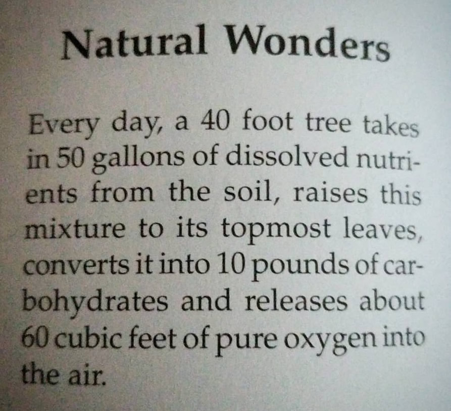 Natural Wonders