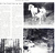 Independent Coast Observer