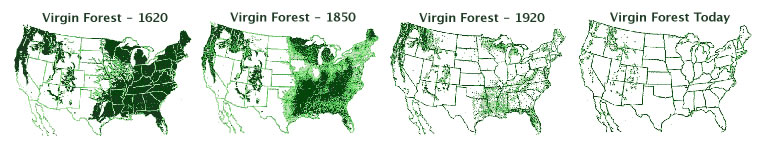 Map Of Deforestation