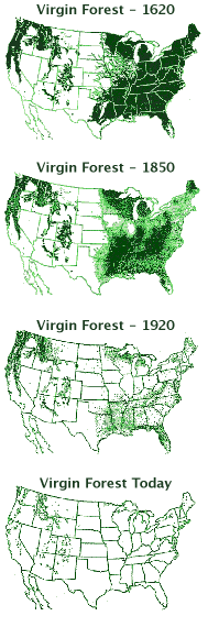 Map Of Deforestation