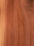 wood_young_sm150.jpg