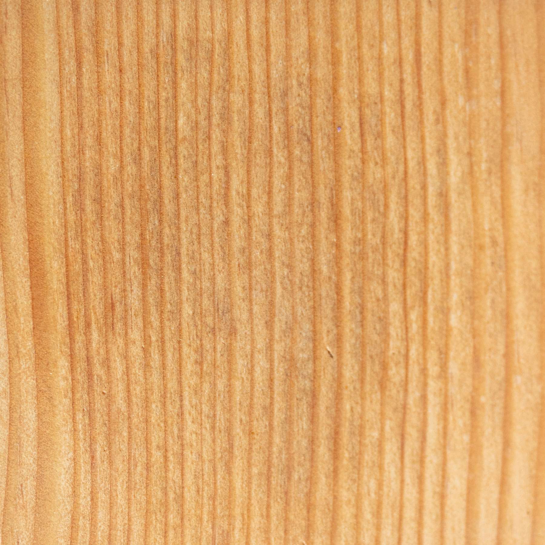 This photo shows the quality of our Redwood