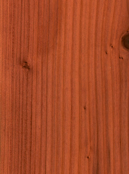 This photo shows the quality of our Mature Redwood