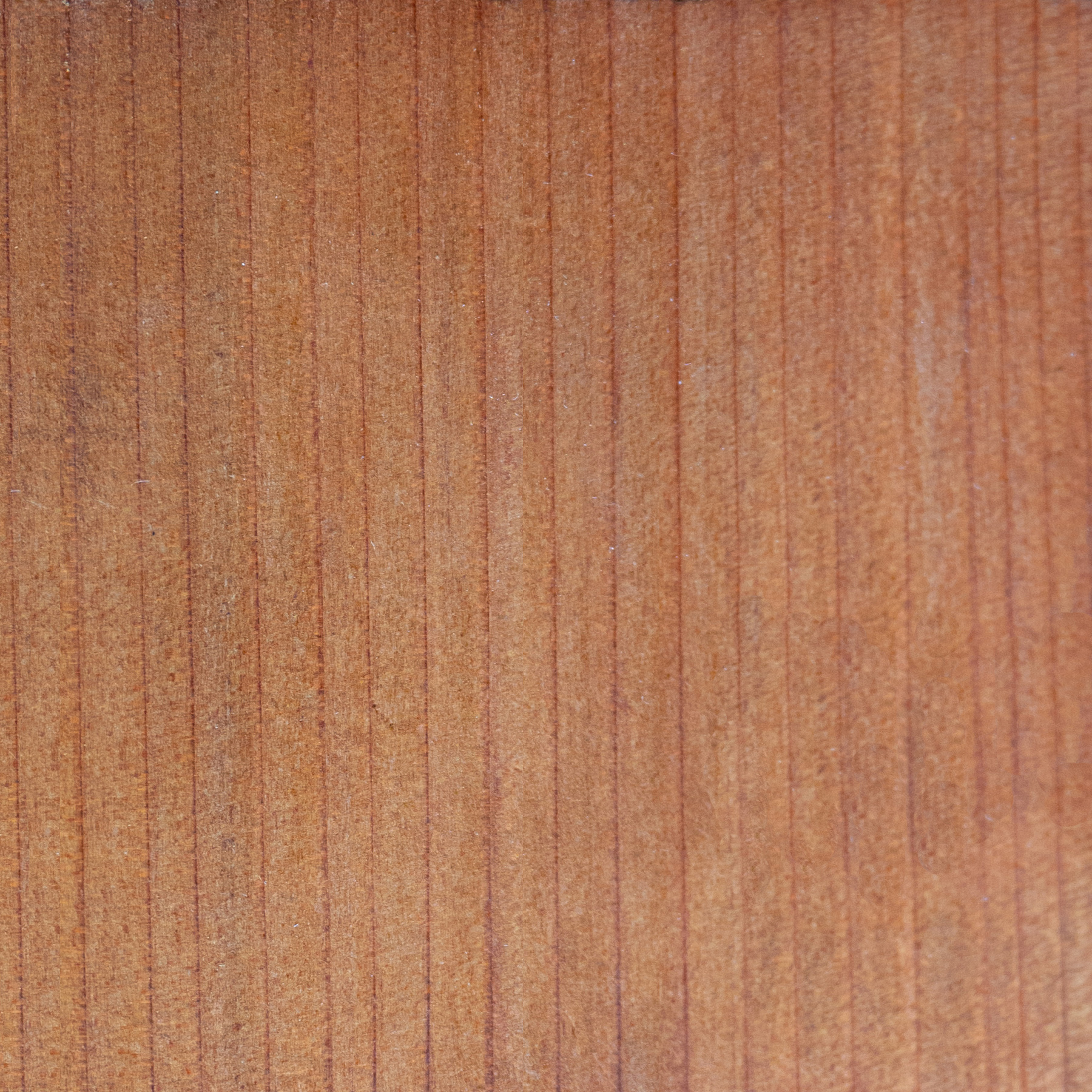 This photo shows the quality of our Mature Redwood