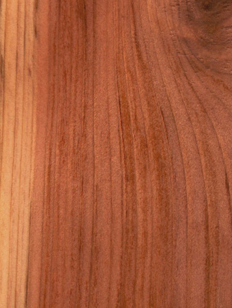 This photo shows the quality of our California Redwood